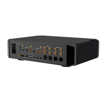 EverSolo DMP-A10
