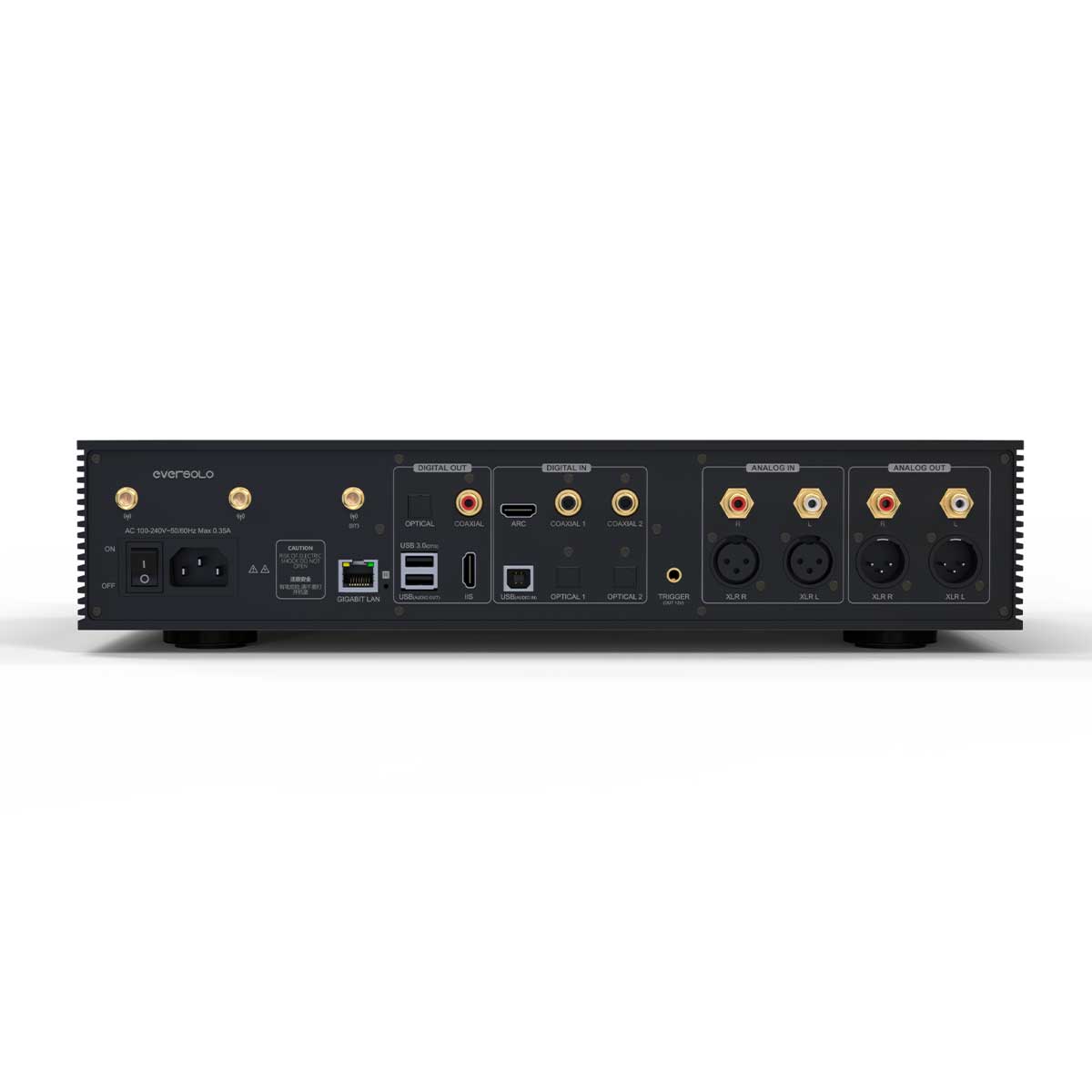 EverSolo DMP-A8 conexiones