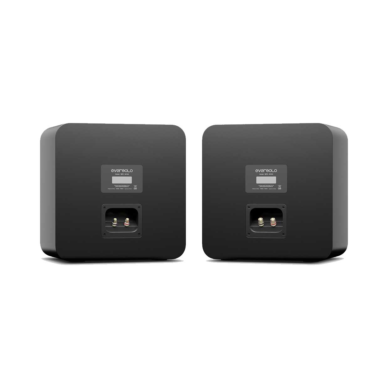 EverSolo SE100