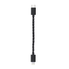 Cargar imagen en el visor de la galería, FiiO LT-LT2

