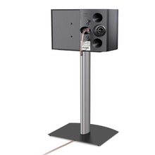 Load image into Gallery viewer, Bose 301 Serie V conexiones
