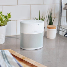 Load image into Gallery viewer, Bose Home Speaker 300
