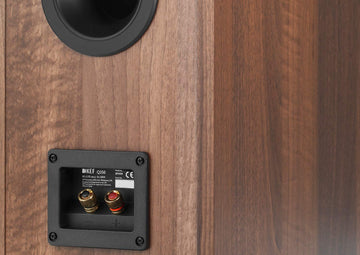 KEF Q350 conexiones
