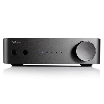 NAD AMP1