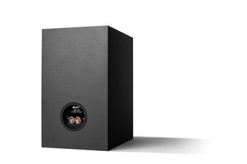 Cambridge Audio SX60 Matt Black conexiones 1