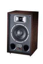 Cargar imagen en el visor de la galería, Magnat Transpuls 800A monitor
