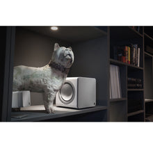 Load image into Gallery viewer, Cambridge Audio MINX X201 editorial
