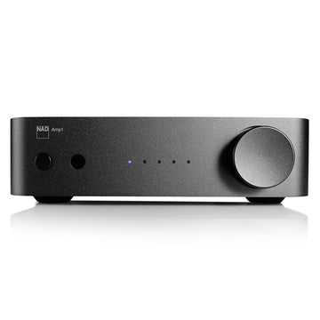 NAD AMP1