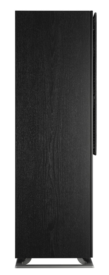 Dali Oberon 7 negro perfil