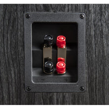 Cargar imagen en el visor de la galería, Polk Audio S60e Conexiones
